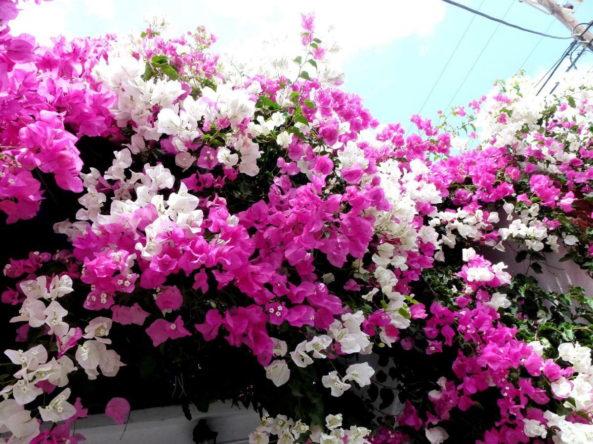 Bougainvillea Suites Kamári Exterior foto